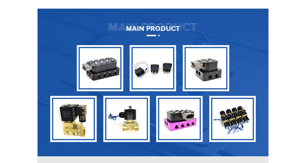 2 Inch High Temperature Application 2L Series Steam Solenoid Valve 2L500-50